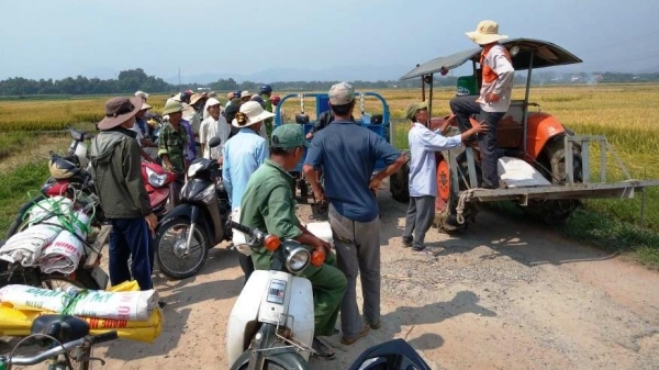 TT- Huế: Hợp tác xã 'phân bua' về việc cát cứ và đánh phí máy gặt