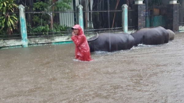 Người dân Thừa Thiên - Huế gồng mình chống chọi với mưa lũ