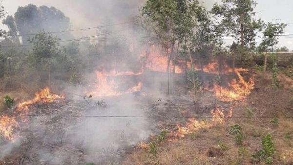 Gần 200 ha rừng ở Huế bị lửa thiêu