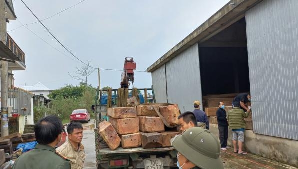 Phát hiện số lượng lớn gỗ lậu tại xưởng cưa