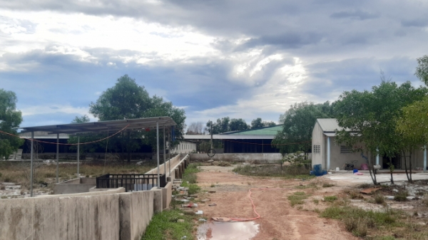 Chính quyền Thừa Thiên- Huế có bất lực trước trang trại nuôi lợn gây ô nhiễm
