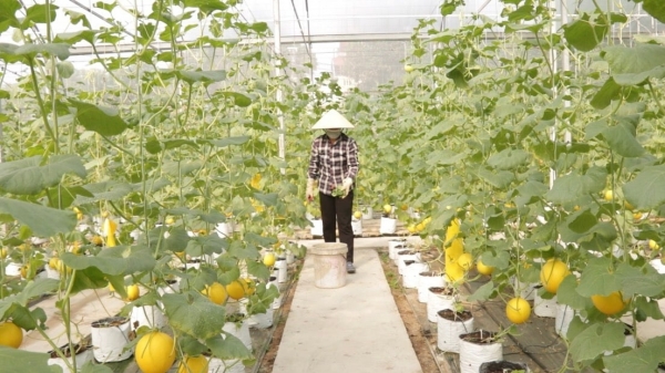 Sửa Luật Thủ đô: Hướng đến phát triển nông nghiệp bền vững