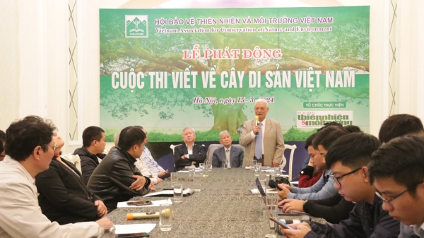 Phát động 'Cuộc thi viết về cây di sản Việt Nam' năm 2024
