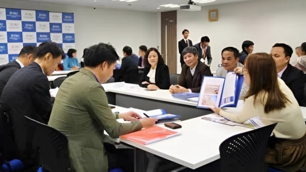 12 doanh nghiệp Nhật Bản tìm kiếm cơ sở chế biến sò điệp tại Việt Nam