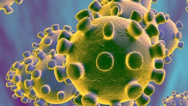 Virus gây ra bệnh Covid-19 lây truyền như thế nào?