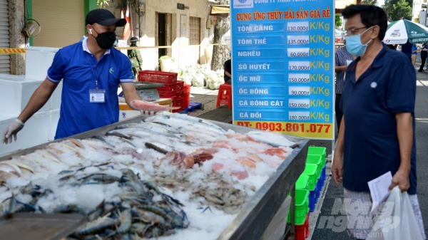 'Chợ dã chiến' ngay trên lòng đường phố Sài Gòn