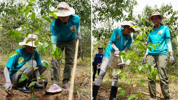 Hoa hậu H’Hen Niê và người đẹp biển Ngô Bảo Ngọc tham gia trồng rừng