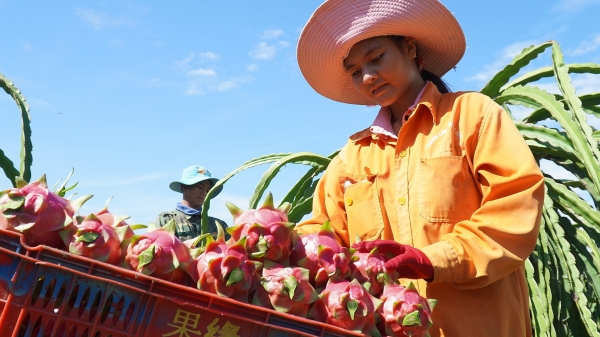 Nông sản Việt Nam bình đẳng theo thông lệ quốc tế khi vào Trung Quốc