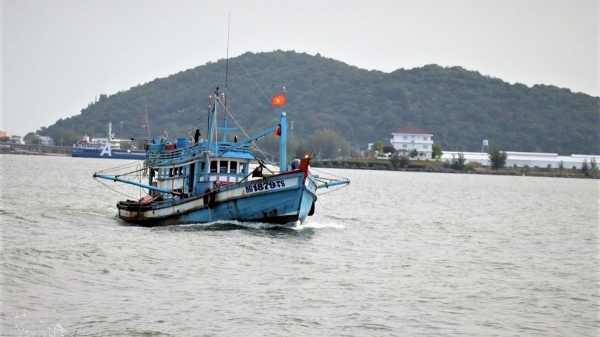 Kiên Giang cấm khai thác nhuyễn thể vùng biển ven bờ