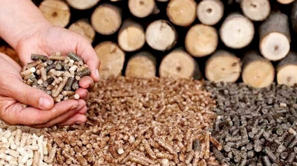 Việt Nam xuất khẩu viên gỗ nén lớn thứ hai thế giới