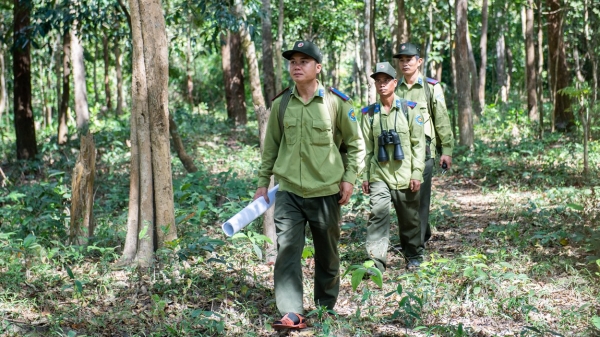 Trả lời cử tri Nghệ An các chính sách dành cho lực lượng bảo vệ rừng