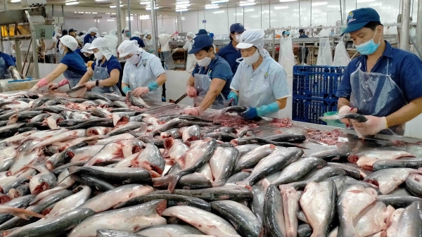 Hoa Kỳ giữ nguyên mức thuế chống bán phá giá với cá tra Việt Nam