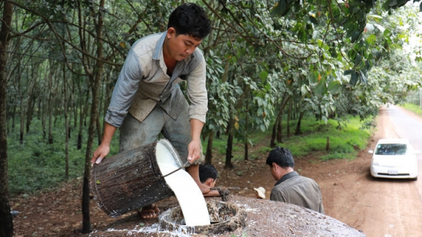 Nông sản Campuchia đổ bộ vào Việt Nam