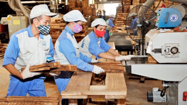 Gỡ khó hoàn thuế giá trị gia tăng cho doanh nghiệp ngành gỗ