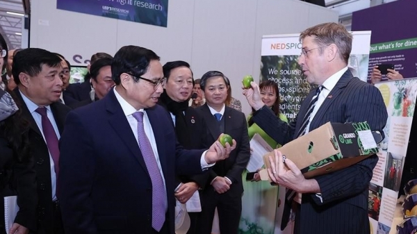 Đưa hợp tác nông nghiệp Việt Nam - Hà Lan lên tầm cao mới