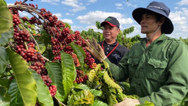 Nông nghiệp chỉ chiếm 5,7% vốn FDI của Việt Nam