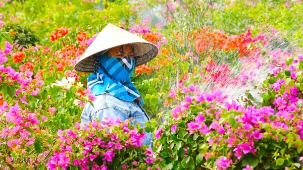 Năm 2030, nông nghiệp đóng góp 3,5% vào tăng trưởng vùng Đồng bằng sông Hồng