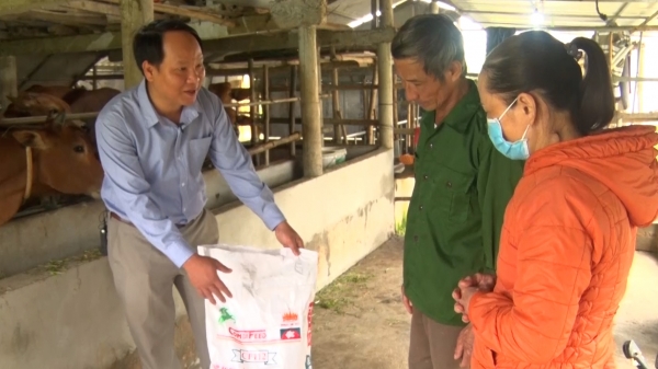 Quảng Trị tăng cường kiểm tra chất cấm trong chăn nuôi
