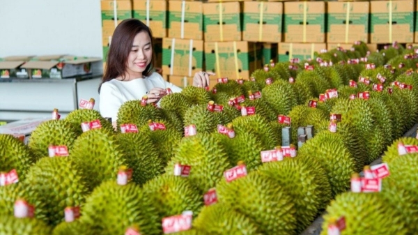 Trung Quốc lấy lại vị trí nước nhập khẩu nông sản Việt Nam lớn nhất
