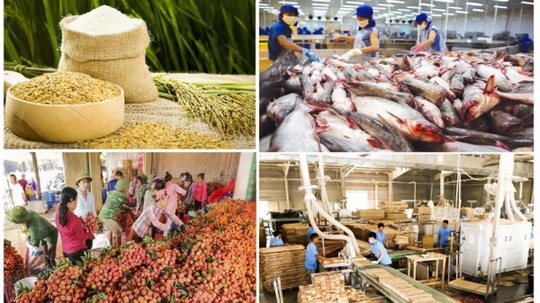 Ngành nông nghiệp nỗ lực vượt khó, quyết tâm xuất khẩu 54 - 55 tỷ USD