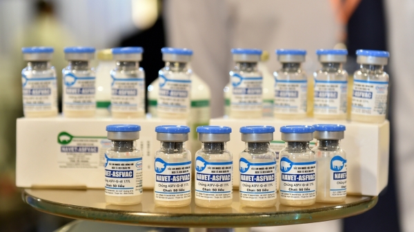 Việt Nam sẽ xuất khẩu 2 triệu liều vacxin dịch tả lợn Châu Phi