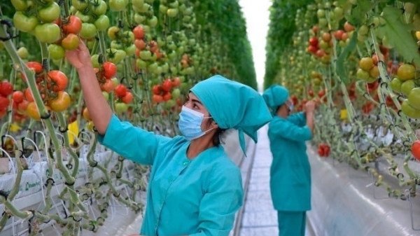 Đề xuất mở chuyên mục 'Thông tin SPS' trên Báo Nông nghiệp Việt Nam