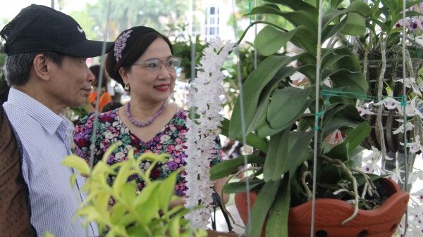 Hơn 500 tác phẩm hoa lan tại Triển lãm hoa lan Thái Nguyên