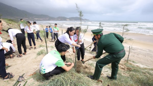 Mạng xã hội 'xanh rì' với chiến dịch 'Triệu cây vươn cao cho Việt Nam xanh'