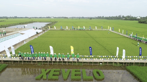 Corteva - Vì một nền nông nghiệp Việt Nam bền vững