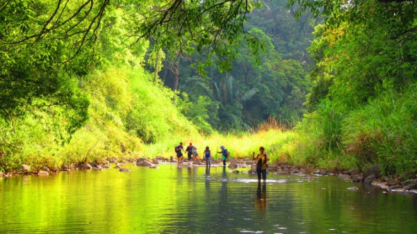 'Lá phổi xanh Đông Nam Bộ' gắn du lịch với bảo vệ rừng