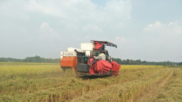 Giá trị tổng sản phẩm ngành nông nghiệp Tây Ninh đạt 19.998 tỷ đồng