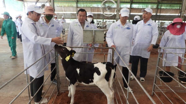 Nhiều dự án chăn nuôi quy mô lớn đổ vào Tây Ninh