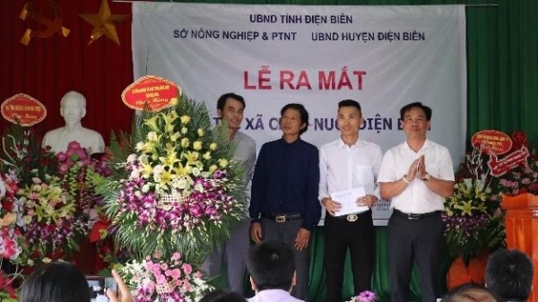 Ra mắt hợp tác xã chăn nuôi Điện Biên