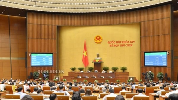 Quốc hội biểu quyết miễn nhiệm ông Vương Đình Huệ, bà Nguyễn Thanh Hải