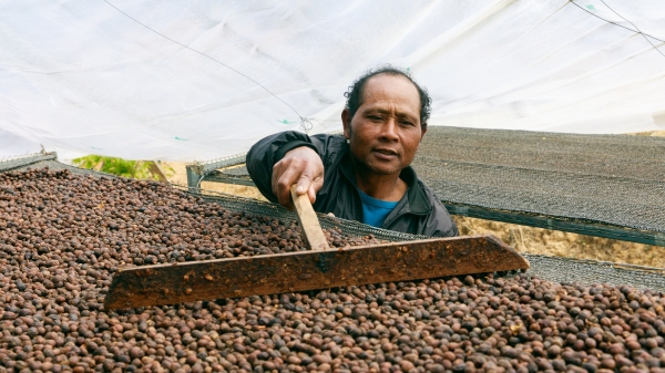6 công ty tiên phong trong phát triển bền vững ngành cà phê