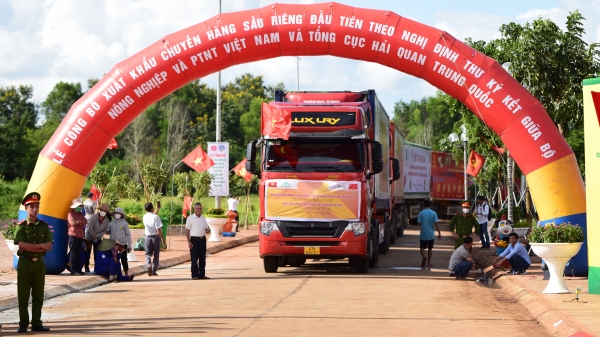 Toàn cảnh chuyến xuất Trung đầu tiên của sầu riêng Việt Nam