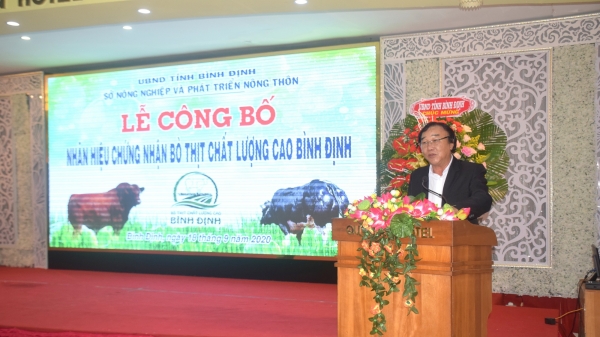 Bình Định: Công bố nhãn hiệu chứng nhận bò thịt chất lượng cao