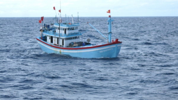 Tàu cá Bình Định gặp nạn trên biển, 7 ngư dân chờ cứu hộ