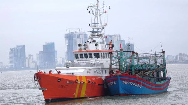 Cứu nạn thành công 7 ngư dân Bình Định gặp nạn trên biển