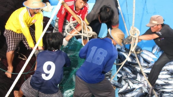 Ngư dân bị tai nạn lao động trên biển được hỗ trợ y tế kịp thời