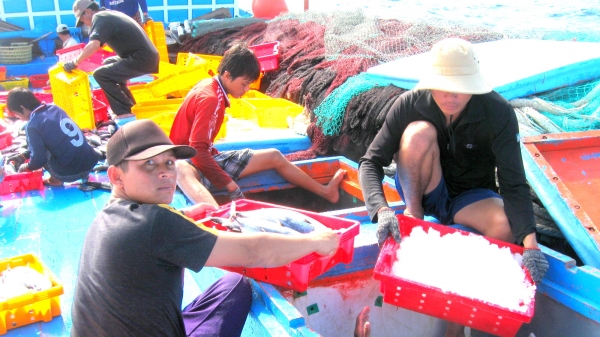 Các cảng cá Bình Định nỗ lực khắc phục 'thẻ vàng'