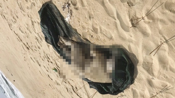 Bình Định: Một thi thể trôi dạt vào bờ biển