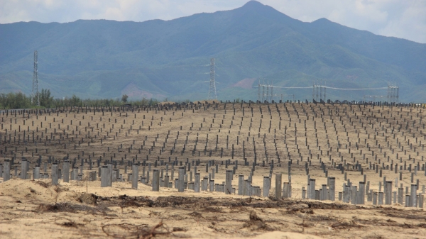 Doanh nghiệp điện mặt trời trả lại đất lấn chiếm, khắc phục hậu quả