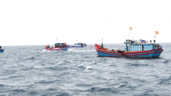 Bình Định kêu gọi tàu thuyền hoạt động trên biển tìm nơi tránh trú bão