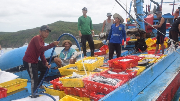 'Thẻ vàng' IUU giúp hoạt động đánh bắt hải sản vào quy củ