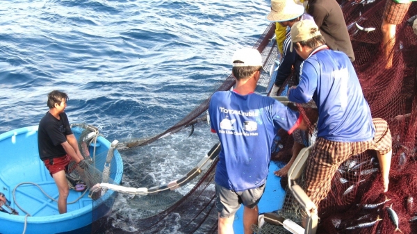 Chống khai thác IUU góp phần giảm nhẹ tai nạn trên biển