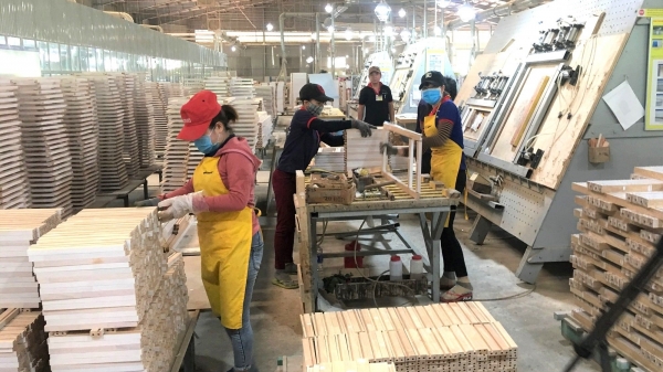 Ngành gỗ Bình Định vững vàng giữa ‘băng giá’ thị trường