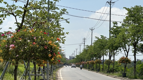 Cách tạo cảnh quan môi trường qua một xã điển hình của huyện Thanh Trì