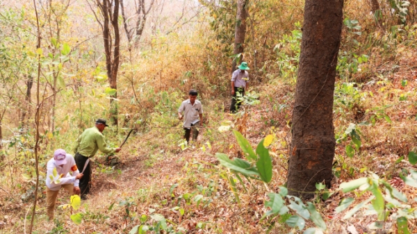 Quyết tâm bảo vệ rừng trong mùa khô