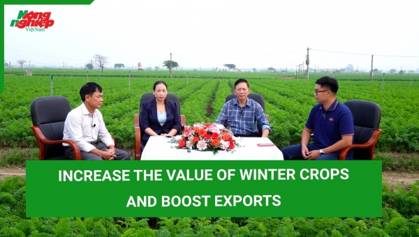 Increase the value of winter crops and boost exports
